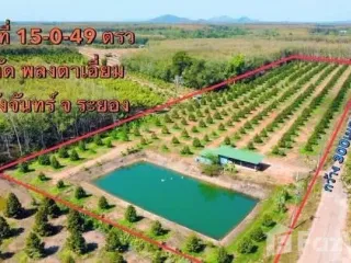 For sale land in Mueang Rayong, Rayong