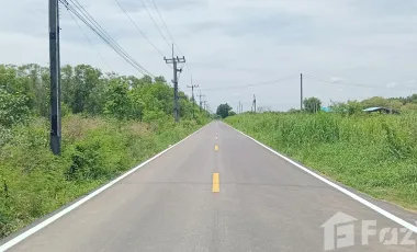 出售 土地 在 Phanat Nikhom, Chon Buri