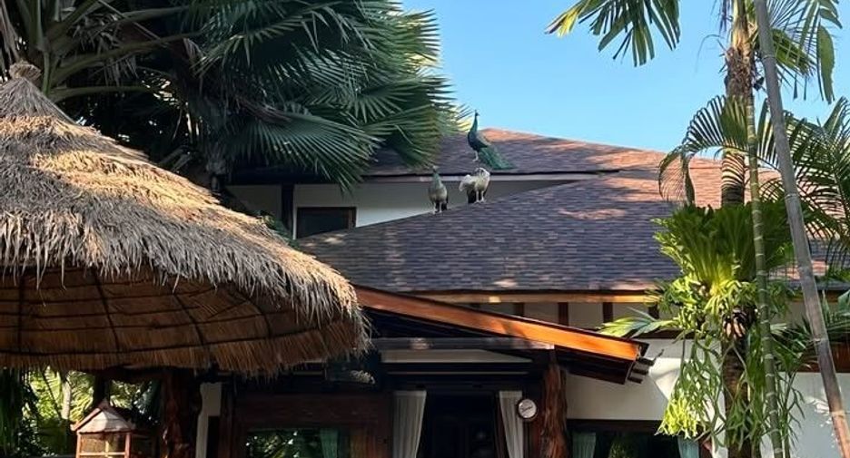 For sale 3 bedrooms villa in San Sai, Chiang Mai