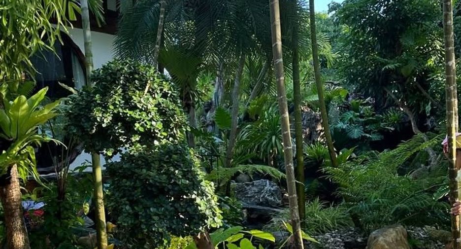 For sale 3 bedrooms villa in San Sai, Chiang Mai