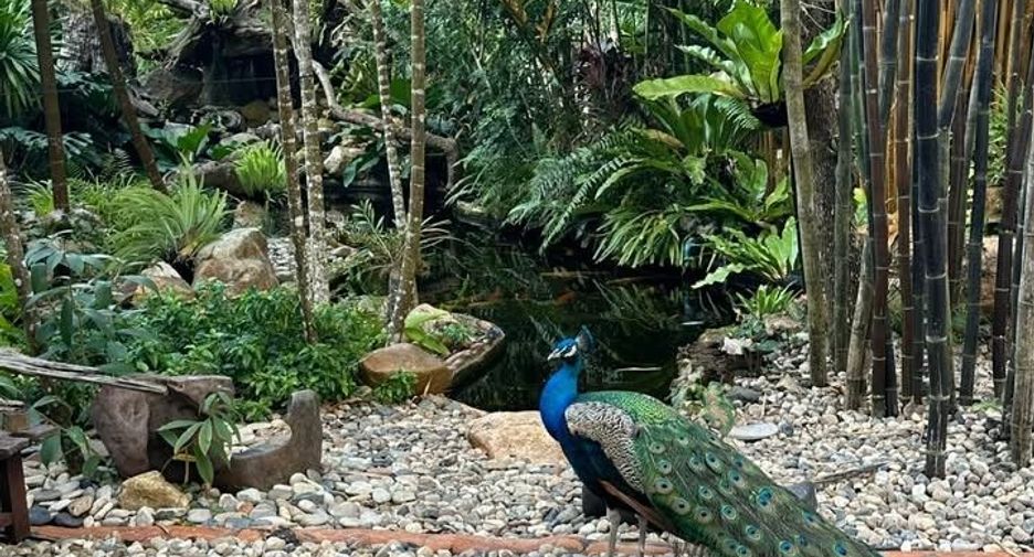 For sale 3 bedrooms villa in San Sai, Chiang Mai