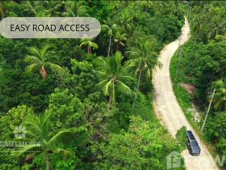 For sale land in Ko Pha-ngan, Surat Thani