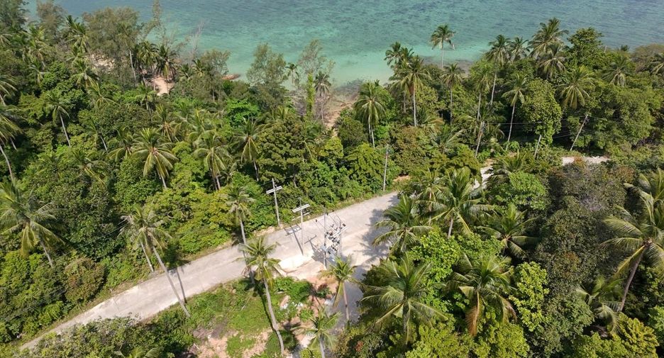 For sale land in Ko Pha-ngan, Surat Thani