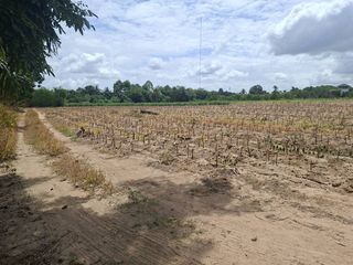 For sale land in Bang Lamung, Chonburi