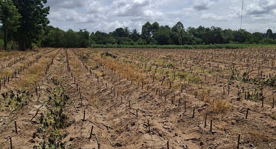 For sale land in Bang Lamung, Chonburi