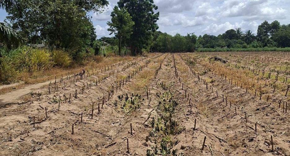 For sale land in Bang Lamung, Chonburi