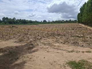 For sale land in Bang Lamung, Chonburi