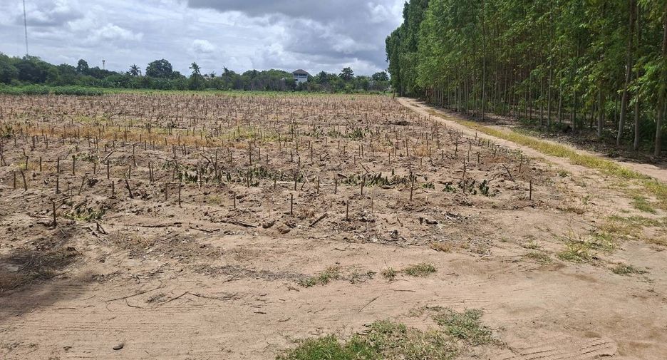 For sale land in Bang Lamung, Chonburi