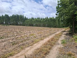 For sale land in Bang Lamung, Chonburi