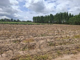 For sale land in Bang Lamung, Chonburi