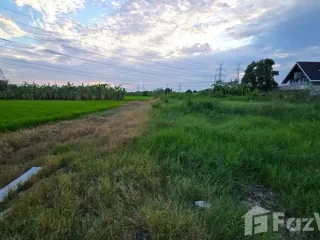 Продажа Участок в Sai Noi, Нонтабури