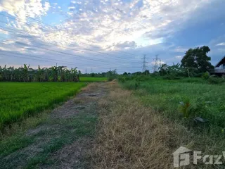 Продажа Участок в Sai Noi, Нонтабури