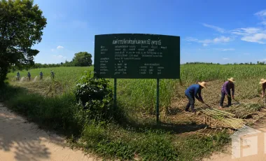 À vendre terrain à Kumphawapi, Udon Thani