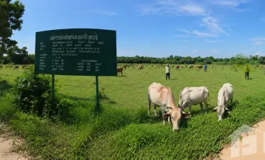 À vendre terrain à Kumphawapi, Udon Thani
