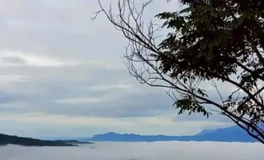 À vendre terrain à Lom Kao, Phetchabun