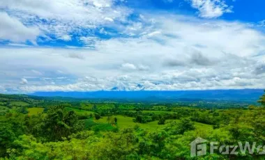 À vendre terrain à Lom Kao, Phetchabun