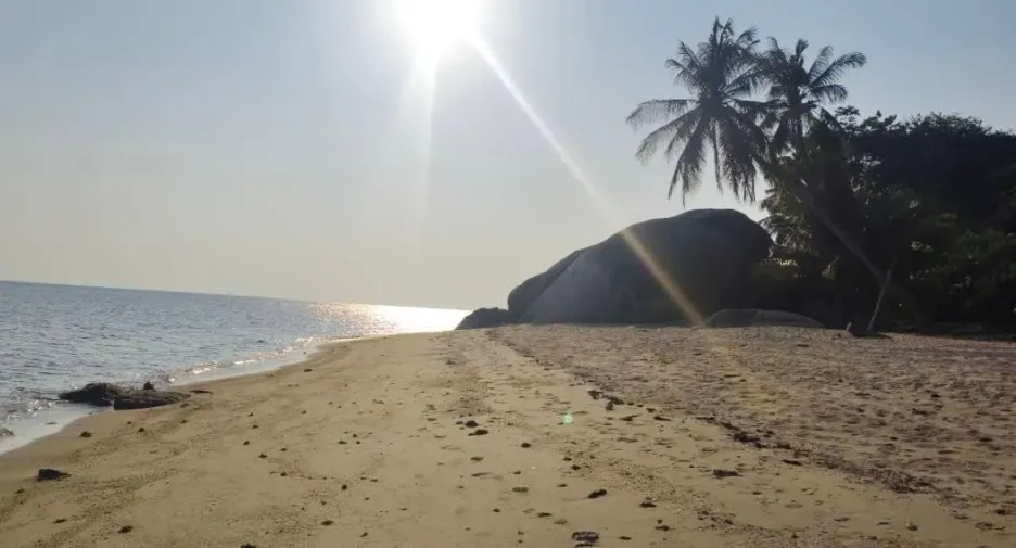 For sale land in Ko Pha-ngan, Surat Thani
