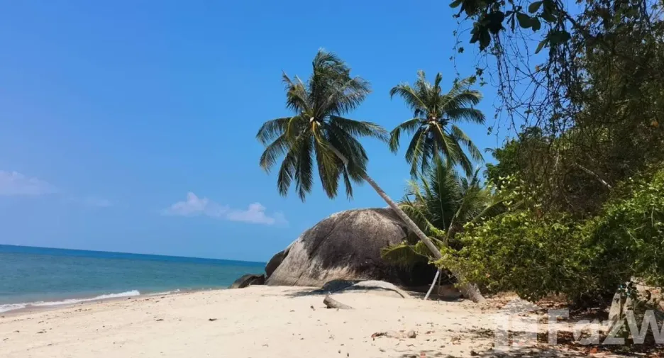 For sale land in Ko Pha-ngan, Surat Thani