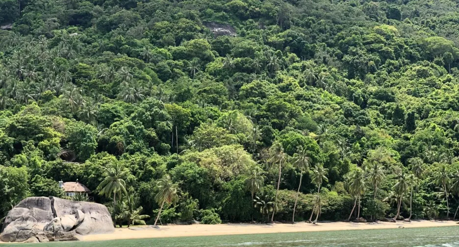 For sale land in Ko Pha-ngan, Surat Thani