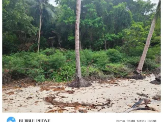 For sale land in Ko Pha-ngan, Surat Thani