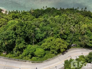 For sale land in Ko Pha-ngan, Surat Thani