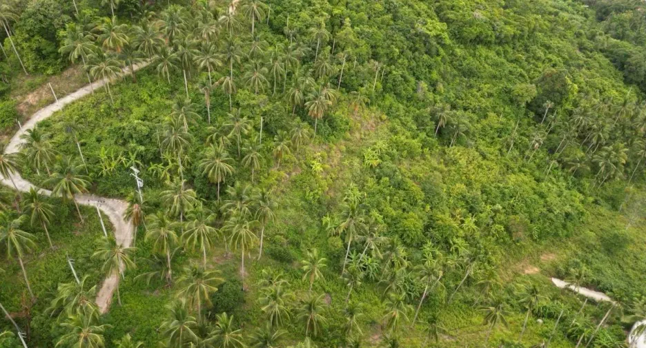 For sale land in Ko Samui, Surat Thani
