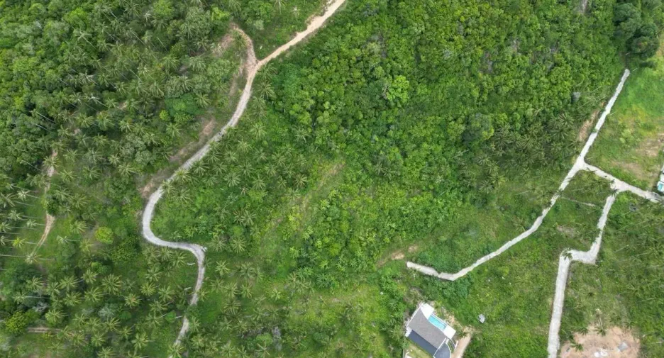 For sale land in Ko Samui, Surat Thani