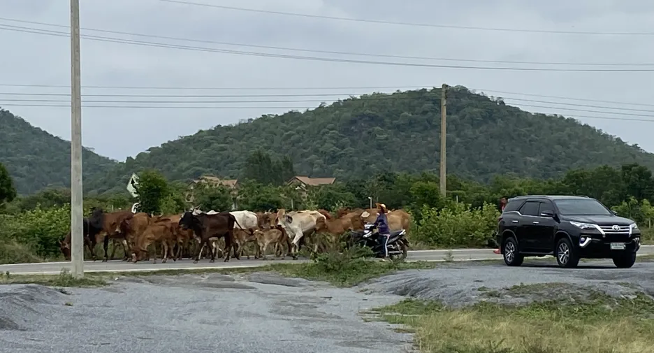 Grundstück zum Kauf in Lao Khwan, Kanchanaburi