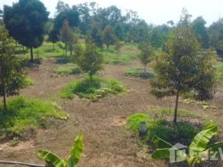 Grundstück zum Kauf in Mueang Rayong, Rayong