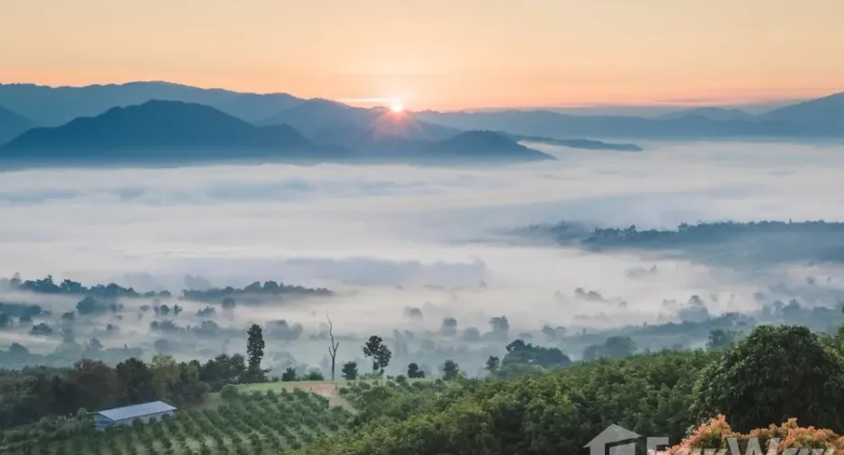 For sale land in Pai, Mae Hong Son