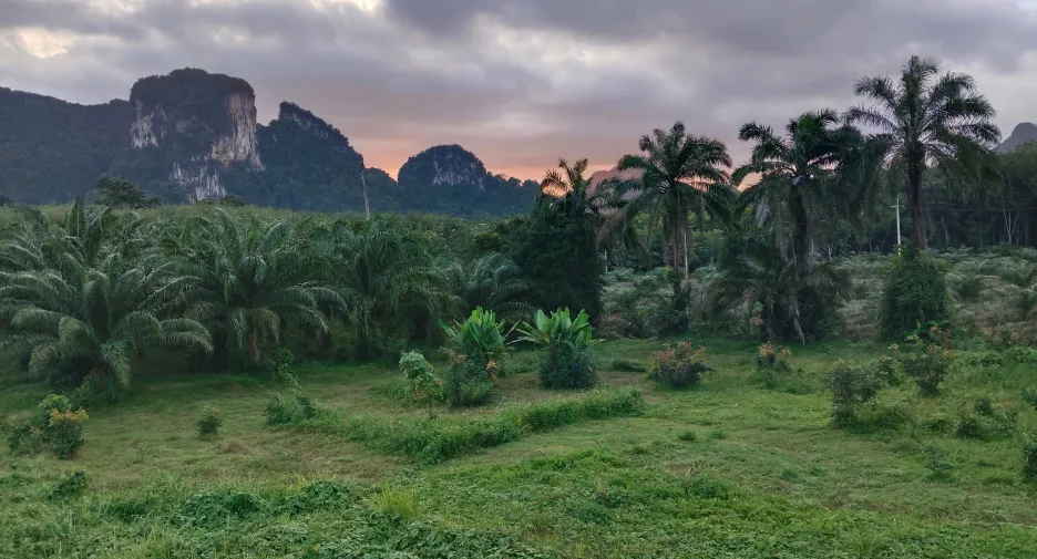 出租 2 卧室 独立屋 在 Mueang Krabi, Krabi