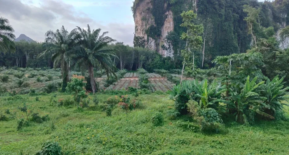 出租 2 卧室 独立屋 在 Mueang Krabi, Krabi