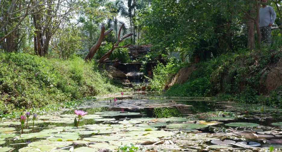 À vendre et à louer 1 chambre maison à Pran Buri, Prachuap Khiri Khan