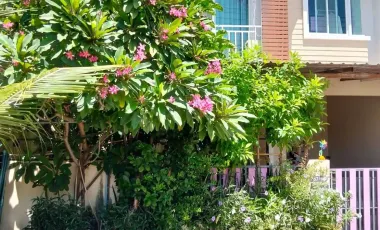 Casa adosada en venta de 3 habitaciones 