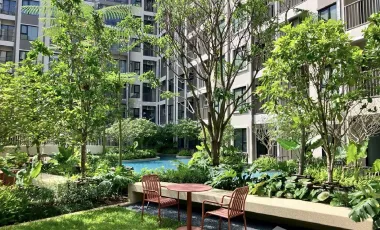 For rent 1 bed condo 