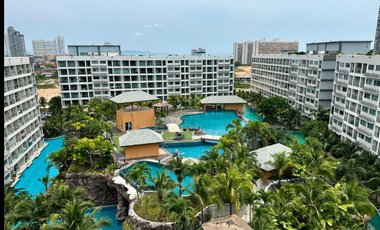 For sale 20 bedrooms condo 