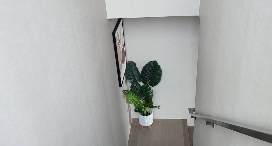 Wohnung zur Miete mit 2 Zimmer 