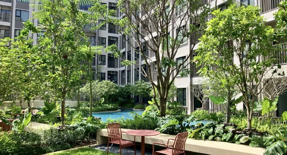 For rent 1 bed condo 