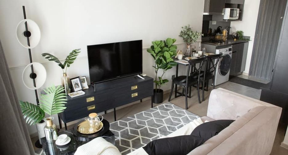 Wohnung zur Miete mit 1 Zimmer 