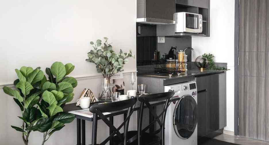 Wohnung zur Miete mit 1 Zimmer 