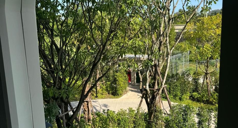 出租 1 卧室 公寓式住宅 在 塔朗, 普吉