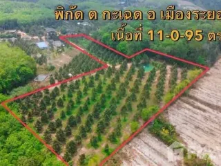 Продажа Участок в Клаенг, Районг