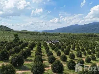 Продажа Участок в Клаенг, Районг