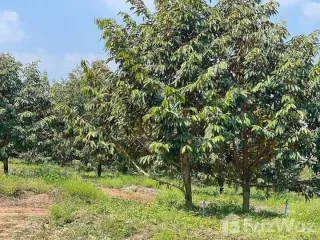 Продажа Участок в Клаенг, Районг