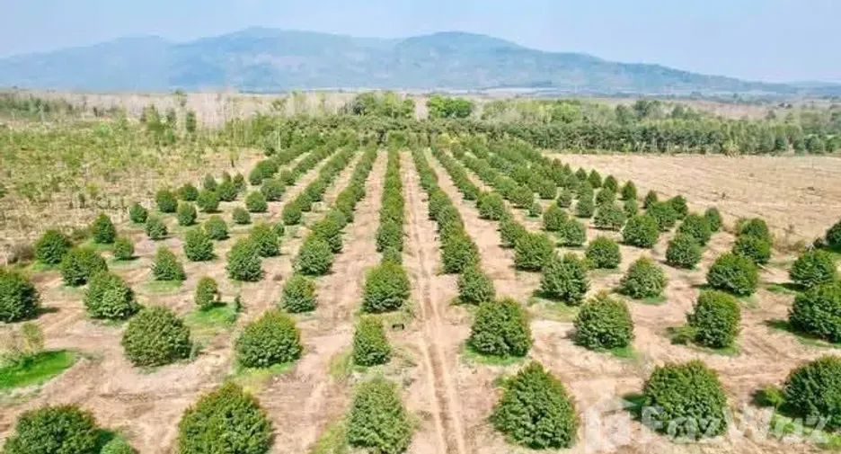 Продажа Участок в Клаенг, Районг