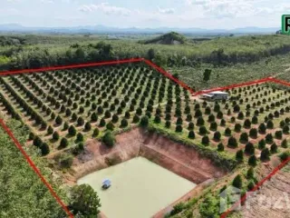 Продажа Участок в Клаенг, Районг