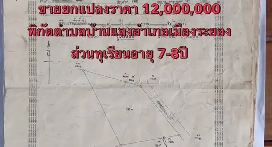Grundstück zum Kauf in Mueang Rayong, Rayong