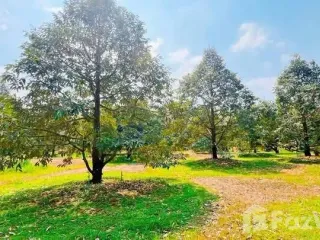 Grundstück zum Kauf in Mueang Rayong, Rayong