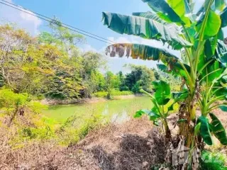 Grundstück zum Kauf in Mueang Rayong, Rayong