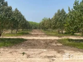Продажа Участок в Клаенг, Районг